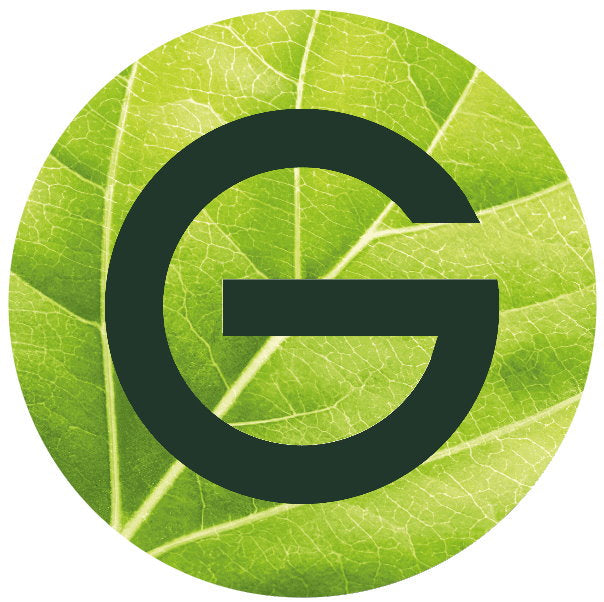 Garnier Skin Care