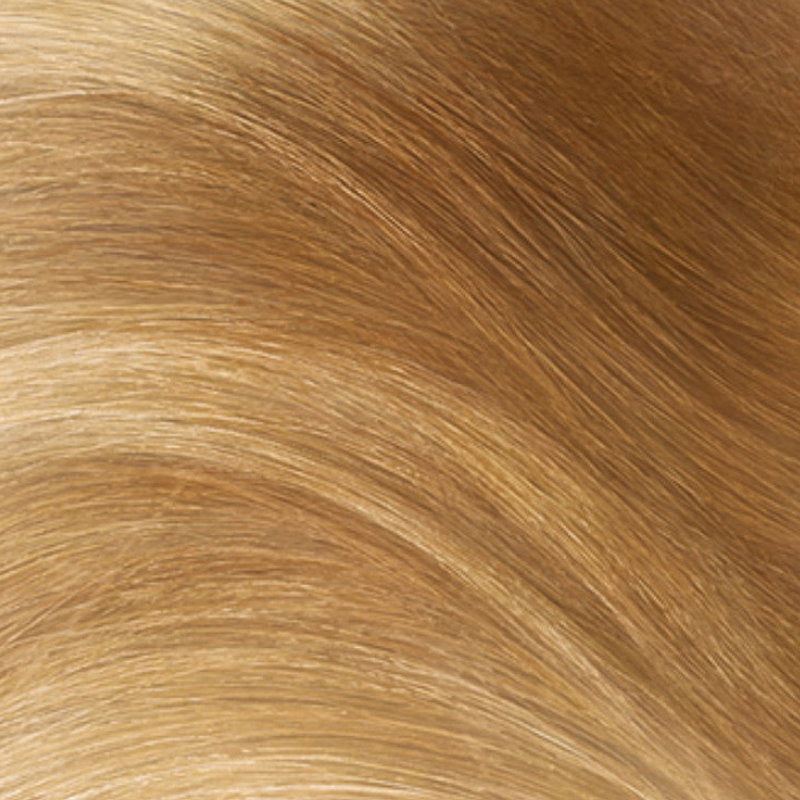 L'Oreal Paris Excellence Crème Permanent Hair Colour 8.3 Golden Blonde